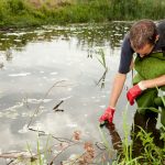 environmental sampling