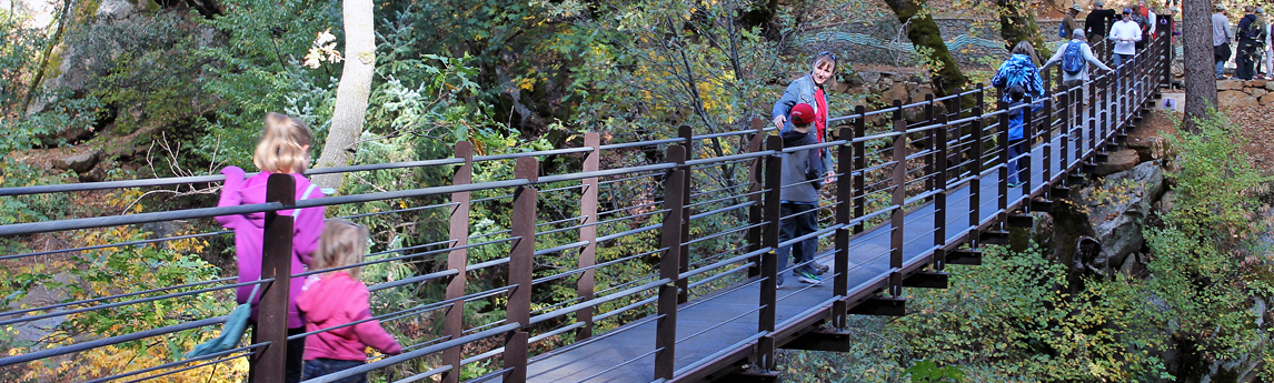 Nisenan Tribute Bridge