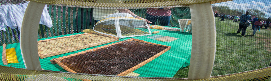 University of Minnesota Bee Research Laboratory