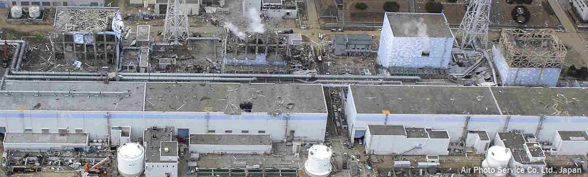 Helping Companies Respond to Fukushima Accident
