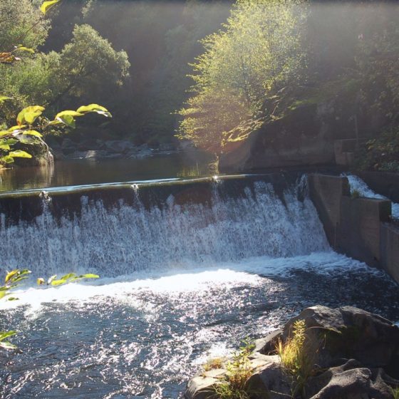 NV5 - Wildcat Dam Removal