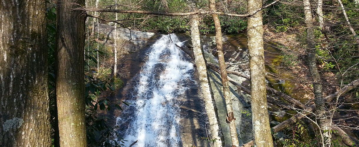 USFS Biological Evaluation & Bat Surveys for NC 215