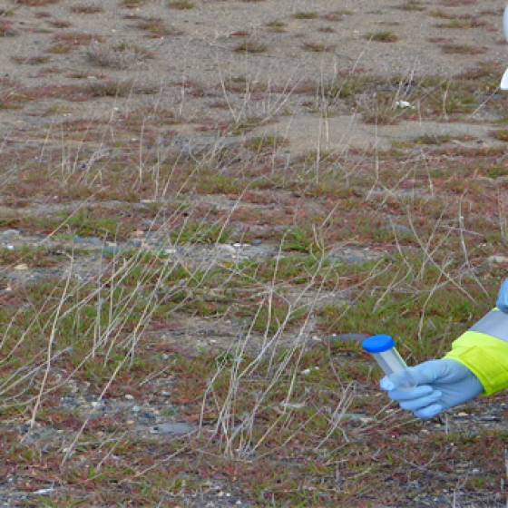NV5 - Radiation Risk Assessment