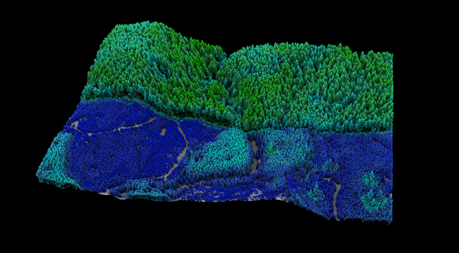 Carbon & Biomass Estimation