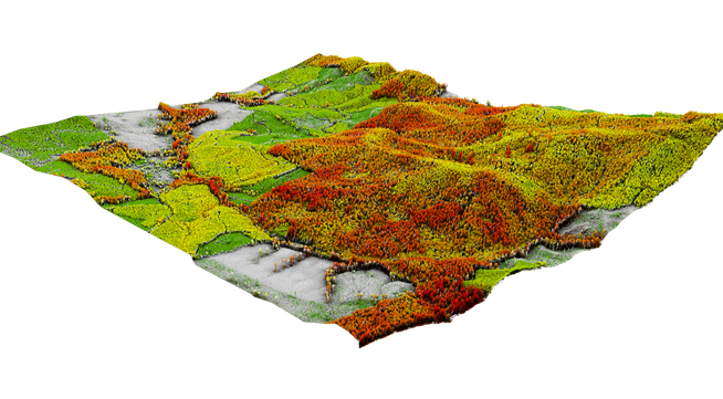 Wildfire Modeling