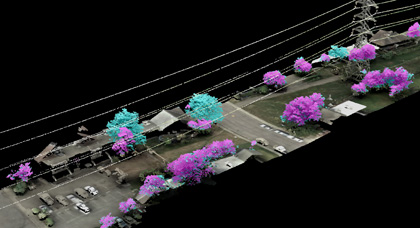 Forest Change Detection & Temporal Modeling