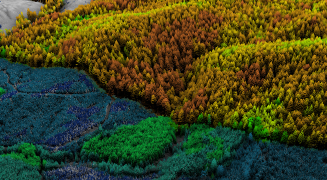 Watershed Drainage & Overland Flow Analysis