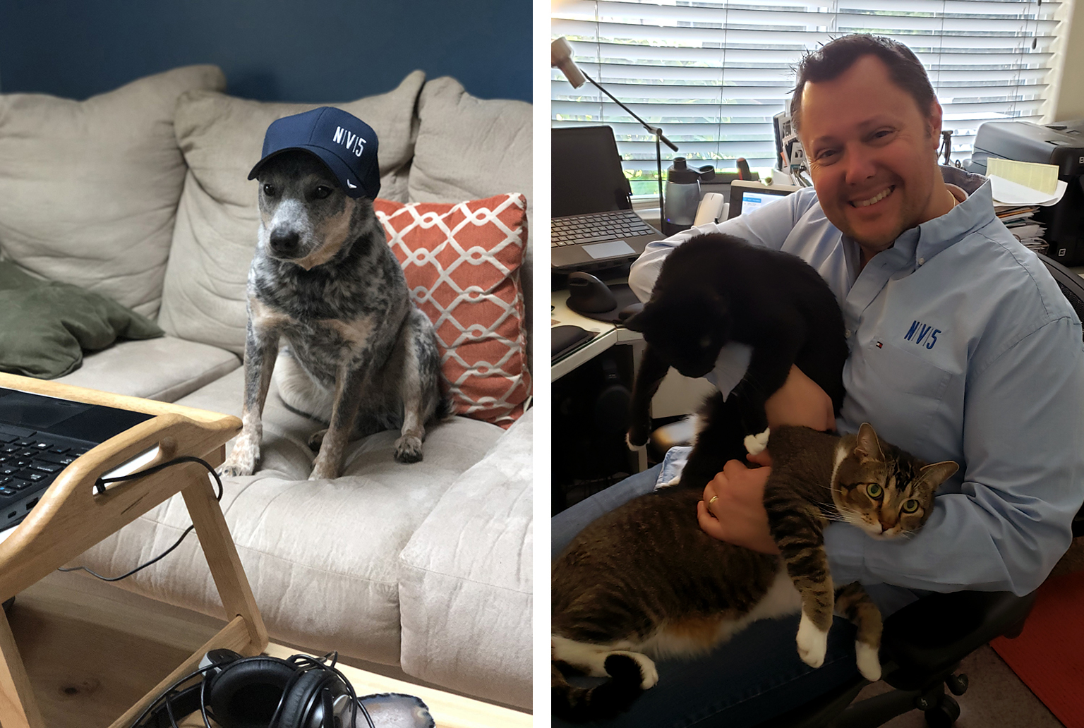 NV5_Pets_WFH