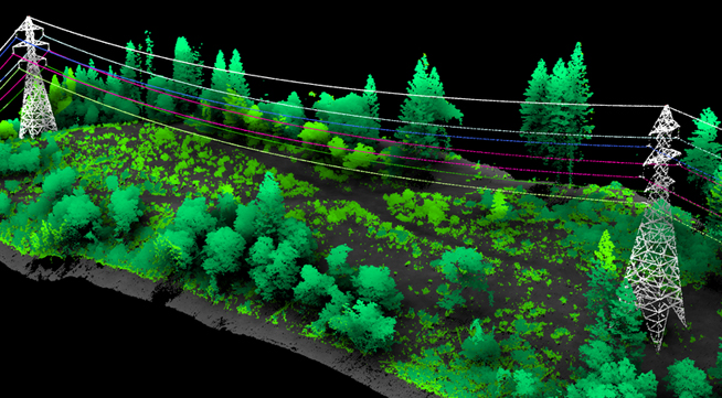 Vegetation Management Applications