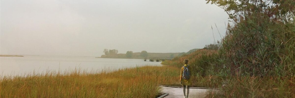 jamaica Bay Shoreline Marsh Boardalk Trail - RCP and Bayswater