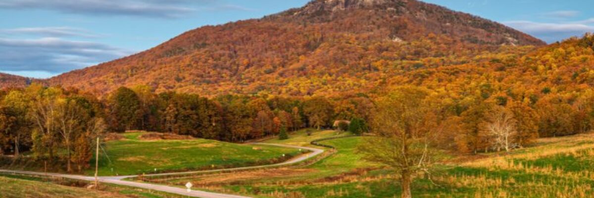 NV5 Awarded $5 Million Bypass Project by Georgia Department of Transportation