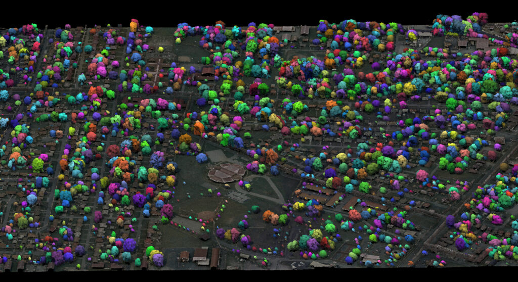 Urban Forest Inventories
